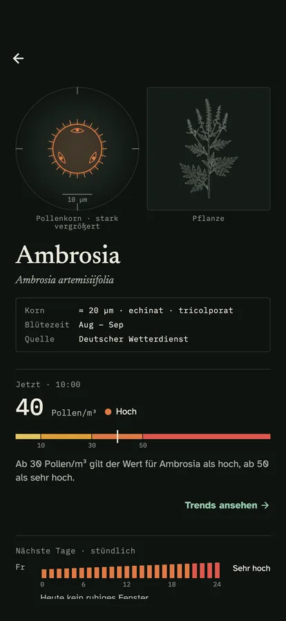 Das Blatt einer Pollenart: das Korn in Vergrößerung neben einer Zeichnung der Pflanze, der Name mit lateinischem Namen und der aktuelle Wert auf der Schwellenleiter.