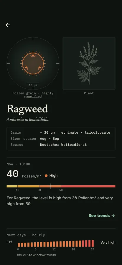 A species sheet: the grain magnified beside a drawing of the plant, the common and Latin names, and the current value on the threshold ladder.